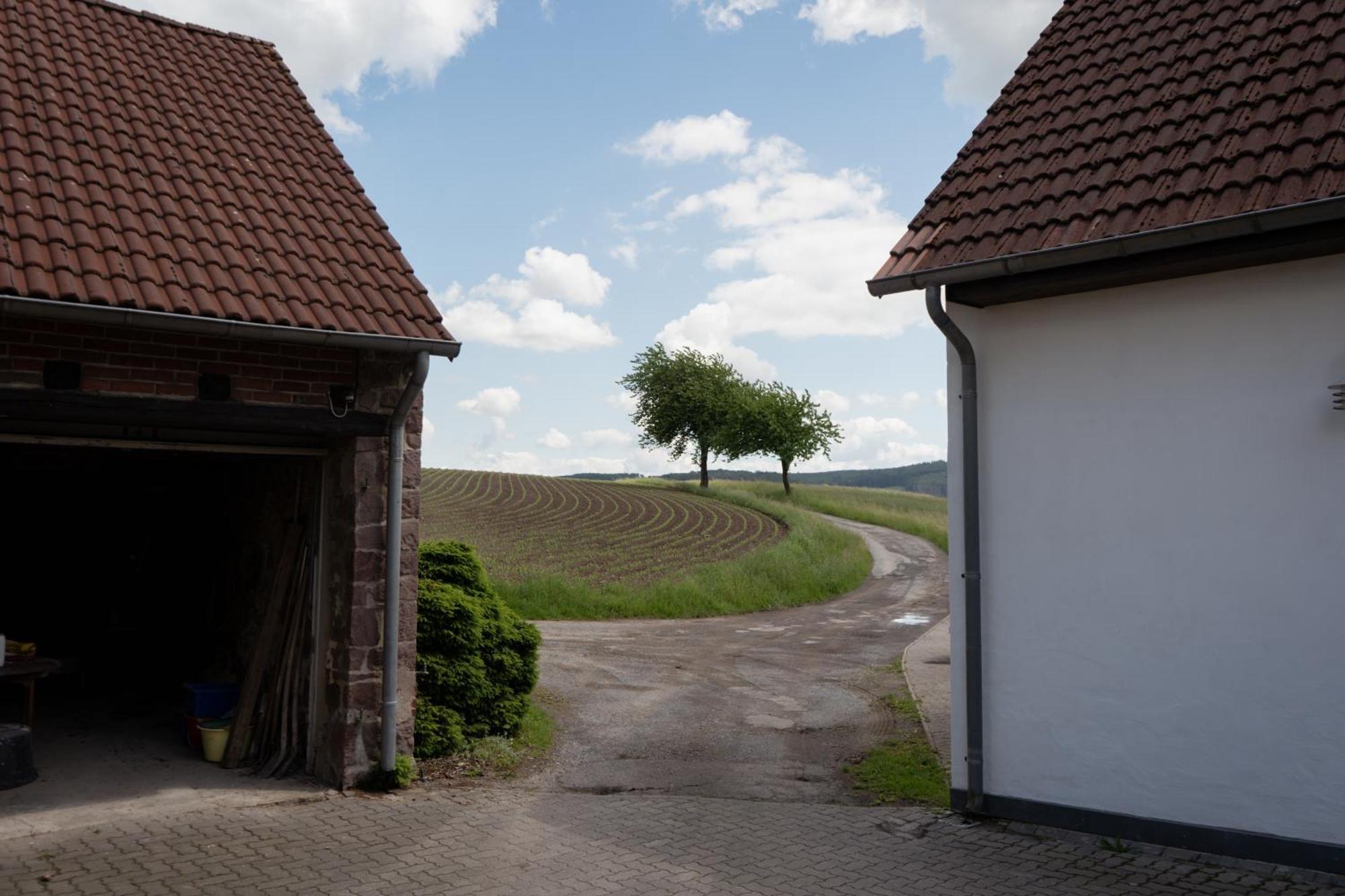 Idyllische Ferienwohnung Im Kalletal Zewnętrze zdjęcie