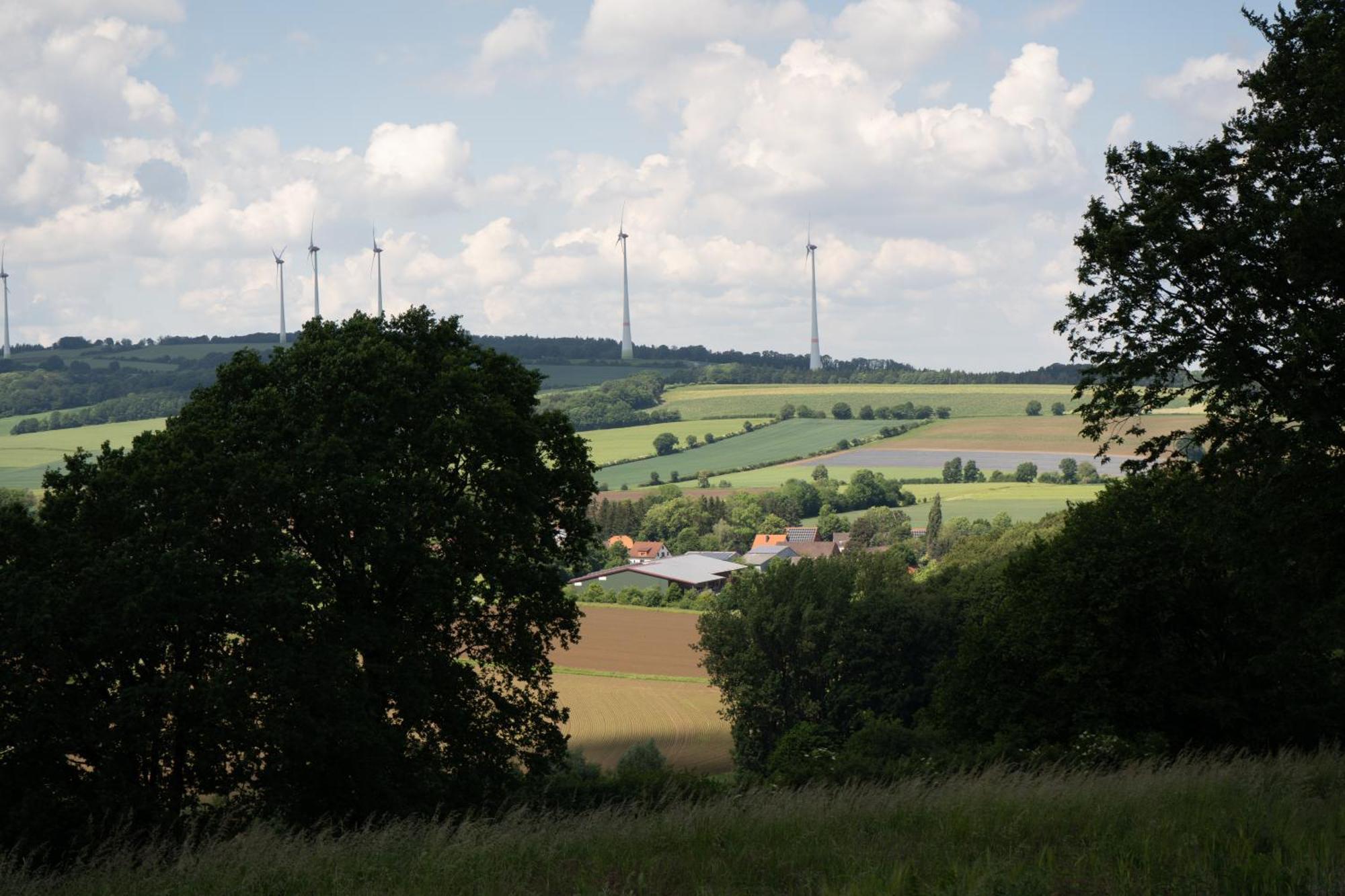 Idyllische Ferienwohnung Im Kalletal Zewnętrze zdjęcie