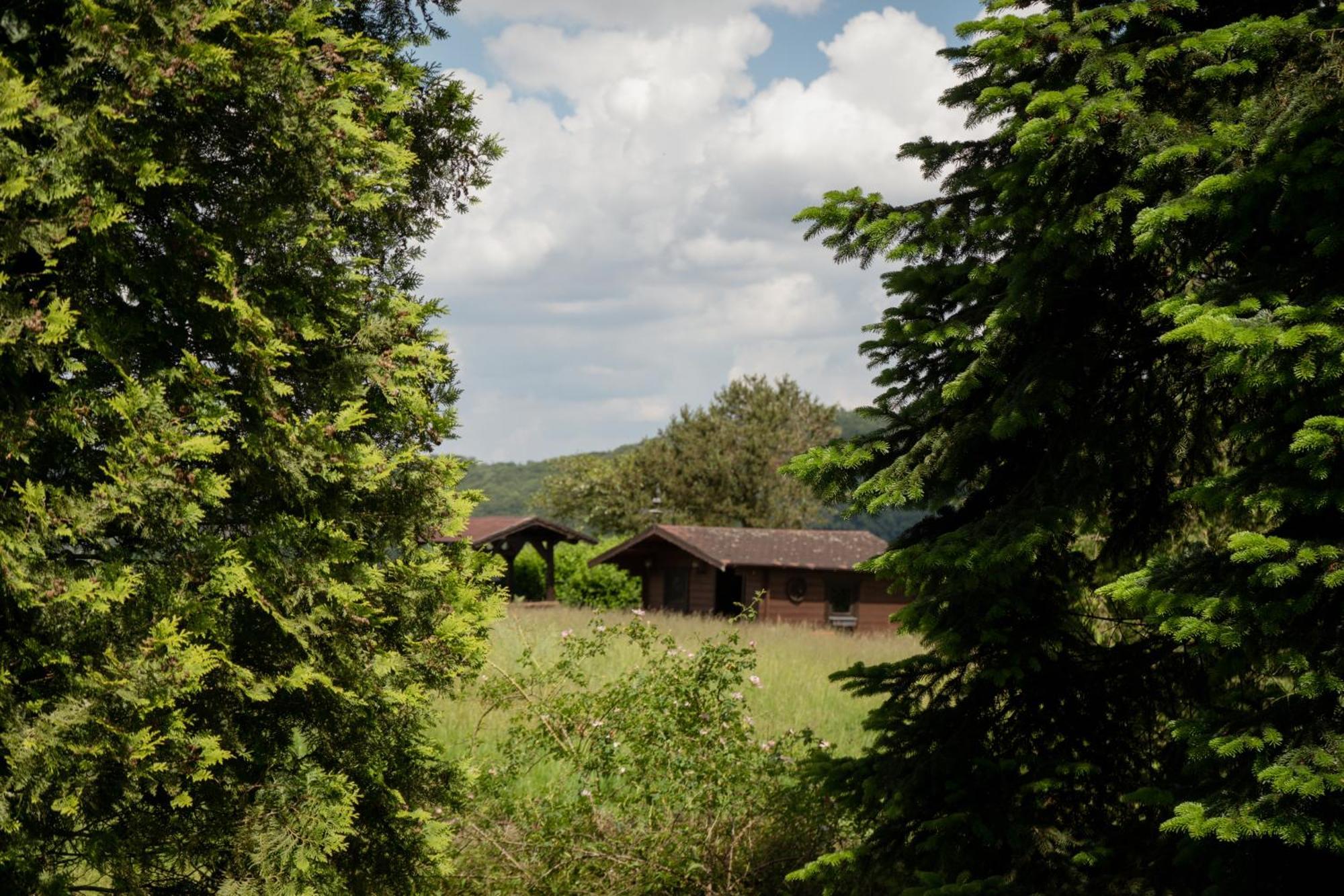 Idyllische Ferienwohnung Im Kalletal Zewnętrze zdjęcie